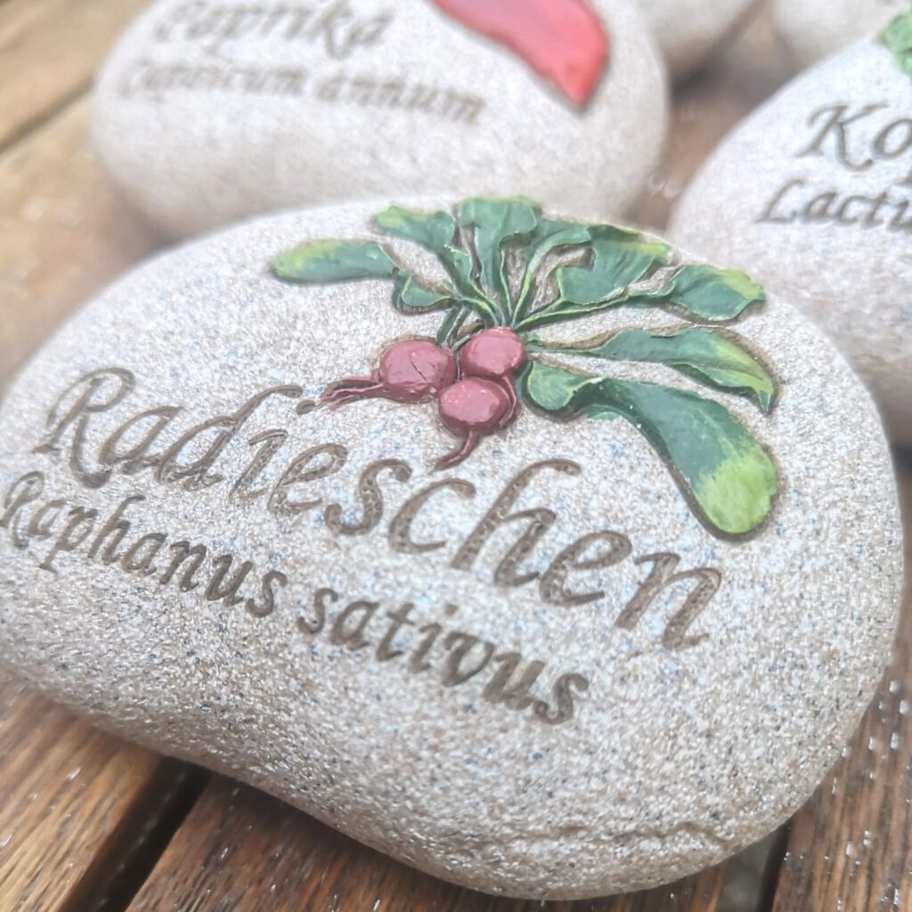 Beschreibung 6
