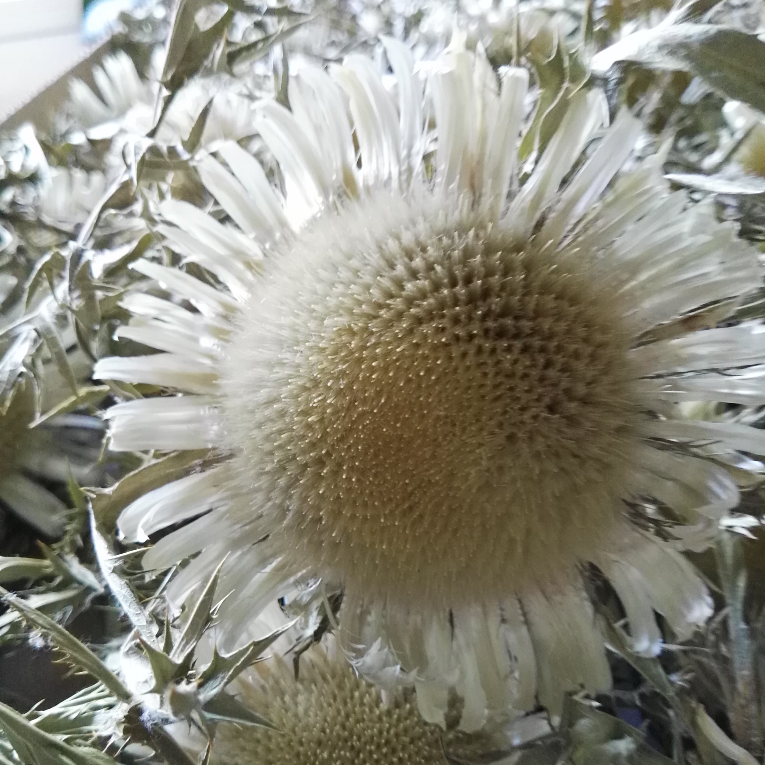 Beschreibung 3