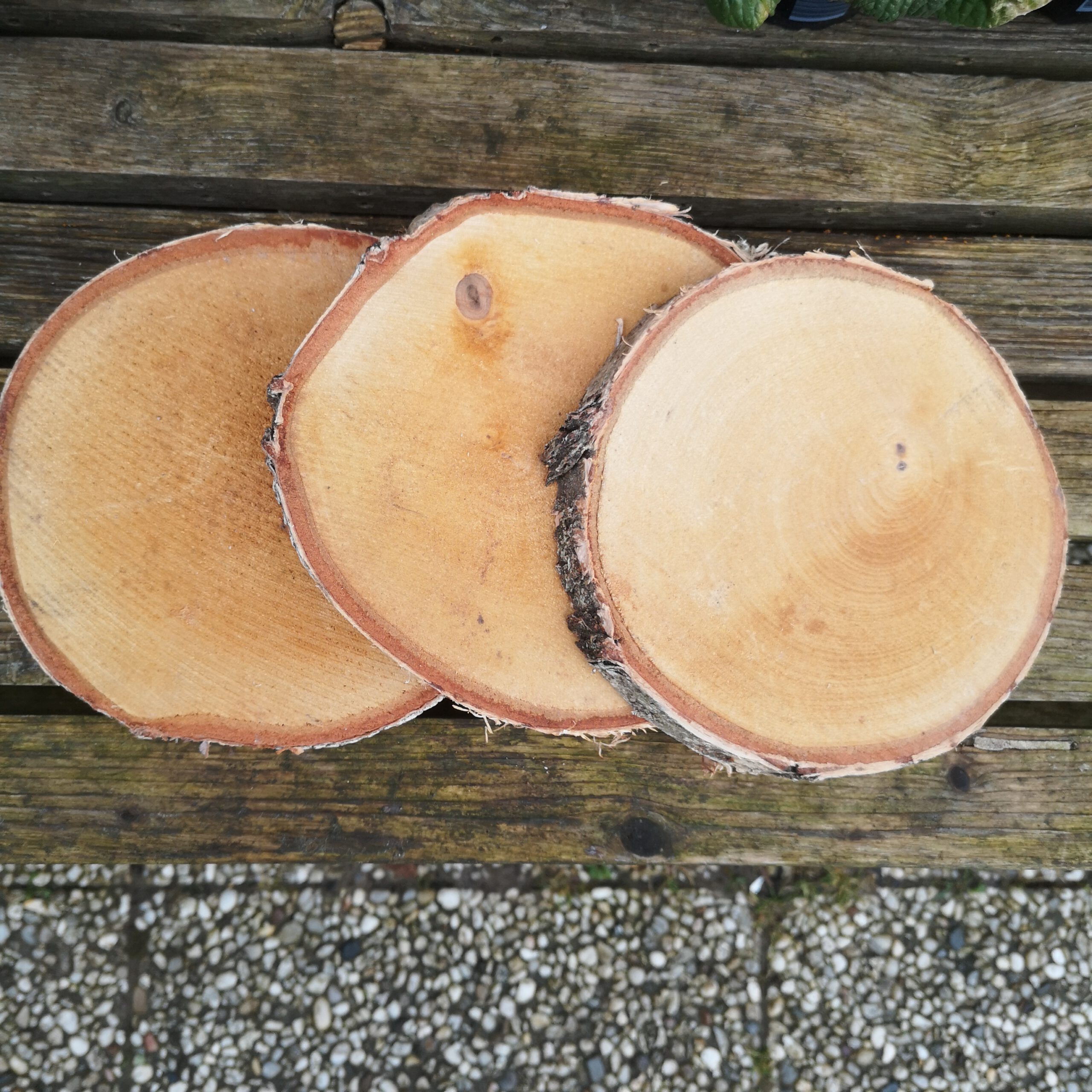 Beschreibung 1